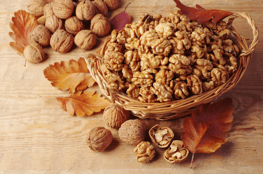 毛根生养发护发分享-秋冬美食养发,赢在起跑线!