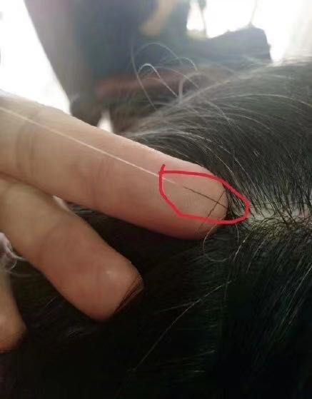 1600307206265893.jpg 微信图片_20200917094630.jpg